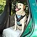 Bergan Dog Auto Harness with Tether, Large