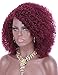 Kalyss Burgundy red Short Afro Kinky Curly Wigs for Women Side Curved Part Natural Looking Big,Bouncy and Super Soft Premium Synthetic Afro Curls Wigs for Women