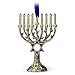 Hallmark Keepsake Jewish Ornament 2018 Year Dated, Menorah Feast of Dedication Metal