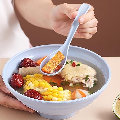 Hiceeden Set of 24 Asian Soup Spoons, Wheat Straw Chinese Soup