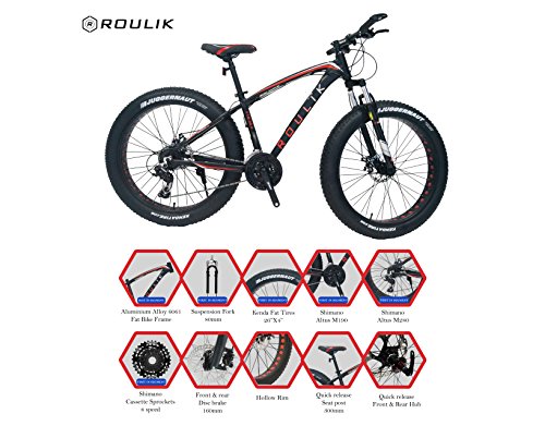 roulik avalanche fat bike