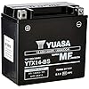 Yuasa YTX14-BS (WC) Onderhoud Vrije Batterij