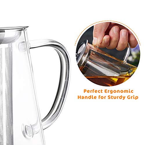 Highbor Clear Glass Tea Pot with Strainer, 500 ml/16.9oz Borosilicate