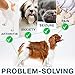 Animalest - Hemp Oil Dogs Cats - 1250 Mg - Relief Dog Cat Hemp Oil Calming Treats - Pets Anxiety Tension Hip Seizures Joint Pain Remedy Arthritis Sleep Stress - Omega 3,6,9 Pet Vitamins - 6in1 Drops