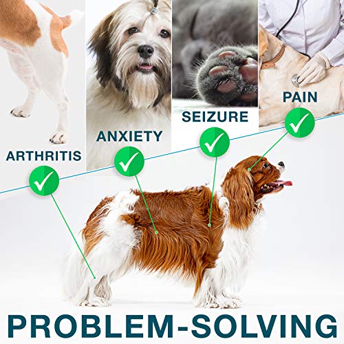 Hemp Oil for Dogs and Cats 3500Mg Separation Anxiety, Stress, Sleep