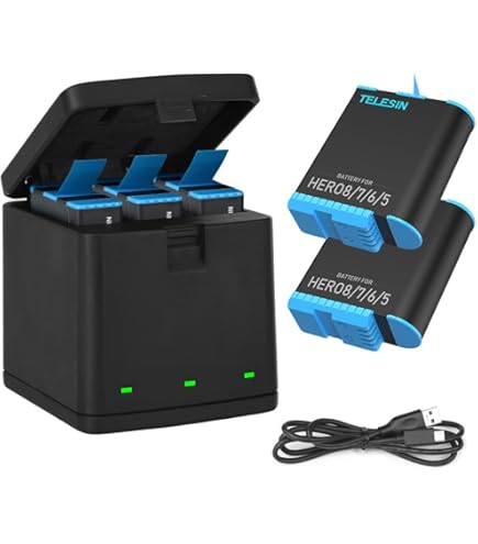 Amazon.com : GoPro Dual Battery Charger - HERO8 & HERO7 / Official