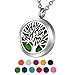 HOUSWEETY Aromatherapy Essential Oil Diffuser Necklace-Stainless Steel Locket Pendant,11 Refill Pads(Non-engraving)