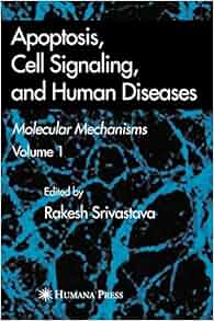 Apoptosis Cell Signaling And Human Diseases Molecular