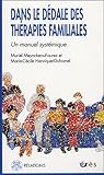 Dans le dédale des thérapies familiales : Un manuel systémique par Meynckens-Fourez