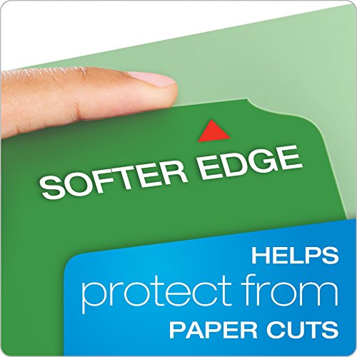 Pendaflex CutLess File Folders, Letter Size, 1/3 Cut, Assorted Colors, 100 per Box (48440)