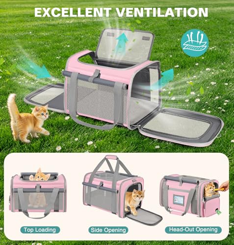 BTNEEU Foldable Cat Carrier Carrier Small Dog Carrier Airline Approved Breathable Carrier Bag with Inner Strap, Washable Soft Cushion and Adjustable Shoulder Strap (Pink)