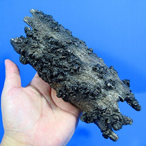 Tree bark Cave Aquarium Ornament Decor Drift Wood Trunk