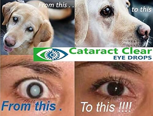 carnosine eye drops for dogs with cataracts
