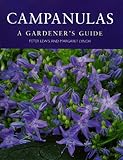Campanulas: A Gardener's Guide by Peter Lewis, Margaret Lynch