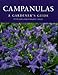 Campanulas: A Gardener's Guide by Peter Lewis, Margaret Lynch