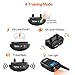 iPetDog Dog Training Collar Dog Shock Collar with Remote 330yd Rechargeable Vibration E Collars for Dogs (Black)