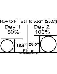 Isokinetics Inc. Balance Exercise Ball Chair - Standard or Tall Boy (Exclusive) Frame Height - Choice of Ball Color - Office size 60mm 2.5" Wheels - Adult Size