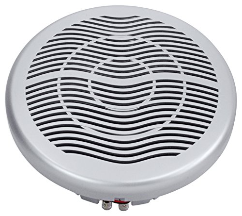 Rockville MS10LS 10" 2400 Watt Silver Marine/Boat 10" Subwoofer with LED+Remote