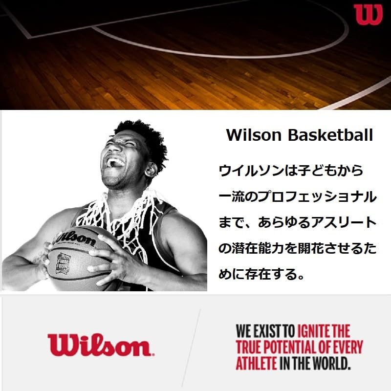 Wilson NBA Authentic Series Indoor Basketballs