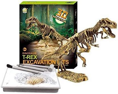 Redtail Dinosaur Excavations Kits – Unearth 3D Dinosaur Bones - T-Rex
