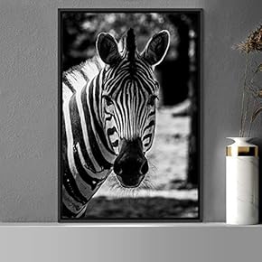 signwin Framed Canvas Wall Art Duotone Zebra Animals...