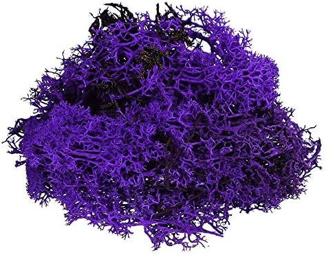 Purple Reindeer Moss Preserved Floral Moss (Pack of 2.5oz Purple)