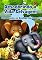 Livro Descobrindo a Vida Selvagem - Conhecendo os Animais da Floresta: Um livro de descoberta dos animais e suas características. (Descobrindo a Vida Animal)