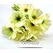 FATCOLO Fresh Artificial Mini Real Touch PU/Latex Corn Poppies Decorative Silk Fake Artificial Poppy Flowers for Wedding Holiday Bridal Bouquet Home Party Decor Bridesmaid Bouquets (White)