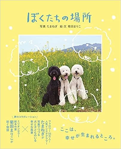 ぼくたちの場所 たまねぎ 菊田 まりこ 本 通販 Amazon