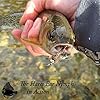 Manefish-Nymph-Flies-Army-15-Essential-Nymph-Flies-Perfect-for-Trout-Bass-and-Bluegill