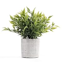 Cyrra Bathroom Vanity Decor Ideas Indoor Artificial Grass Plants for Shelf Nandina (Nandina M)