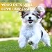 PZG 1-inch Artificial Grass Patch w/Drainage Holes & Rubber Backing | 4-Tone Realistic Synthetic Grass Mat | Heavy & Soft Pet Turf | Lead-Free Fake Grass for Dogs or Outdoor Décor
