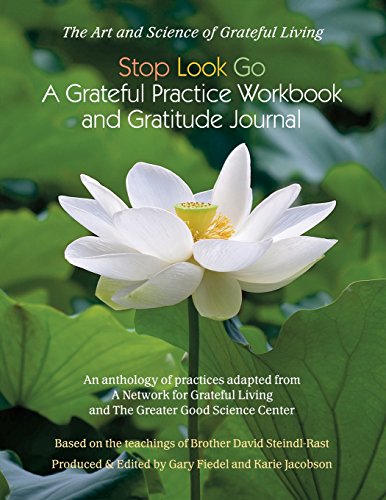 Stop-Look-Go: A Grateful Practice Workbook and Gratitude Journal