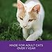 Wellness Complete Health Cubed Adult Wet Cat Food, Natural, Protein-Rich, Grain Free, 5.5 Ounce , 24 Pack, (Turkey Entrée)