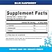 Bodybuilding Signature BCAA Powder | Essential Amino Acids | Nutrition Supplement | Promote Muscle Growth and Recovery | 30 Servings, Blue Raspberry