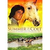Summer of the Colt