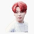 MAGNET Jimin Magnet Bumper Sticker Car Magnet Flexible Reuseable Magnetic Vinyl 5"