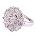 Psiroy Women's Statement Rings Fashion Jewelry 925 Sterling Silver Plated Cubic Zirconia CZ Cluster Flower Ring Size 8
