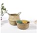 RISEON Natural Seagrass Belly Basket Panier Storage Plant Pot Collapsible Nursery Laundry Tote Bag with Handles (13