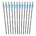 ANTSIR 20" Hunting Archery Carbon Arrow Crossbow Bolts Arrow With 4" vanes Feather and Replaced Broadhead/Tip(Pack of 12)