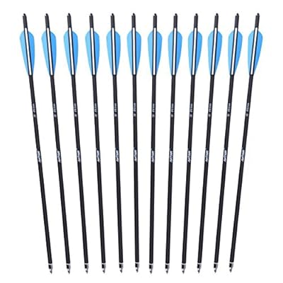 ANTSIR 20" Hunting Archery Carbon Arrow Crossbow Bolts Arrow With 4" vanes Feather and Replaced Broadhead/Tip(Pack of 12)