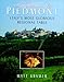 A Passion for Piedmont: Italy's Most Glorious Regional Table by 