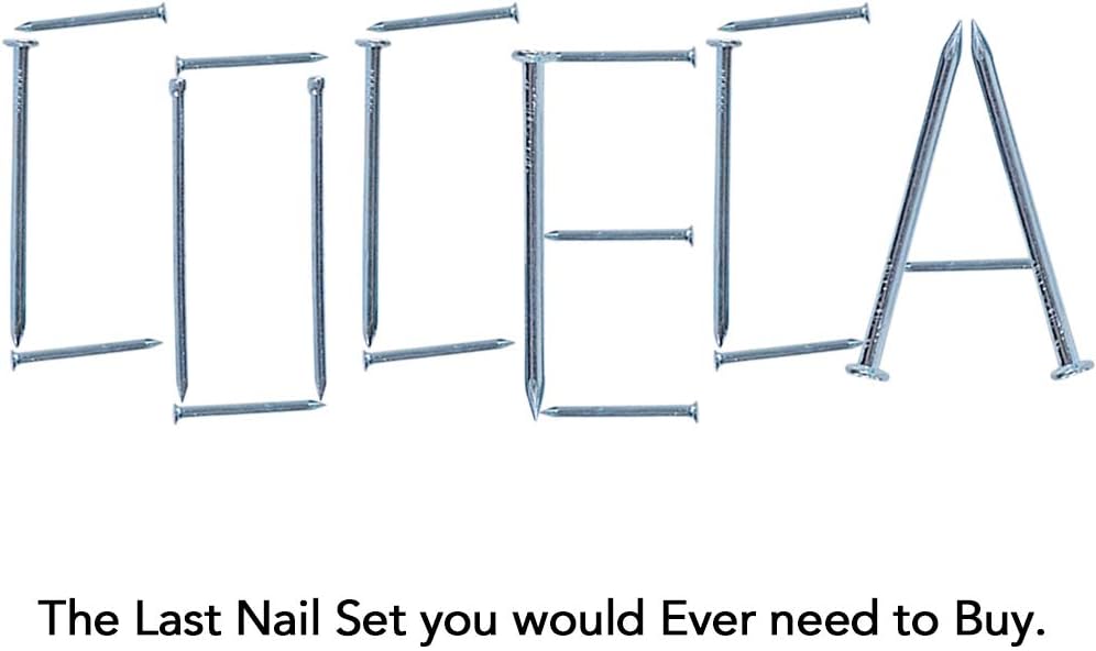Coceca Hardware Nail Assortment Kit 200pcs, Galvanized Nails, 4 Size Assortment - - 