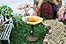 NW Wholesaler 2.5 Inch Miniature polyresin Fairy Garden Flower Birdbath - Supplies, Furniture, Tools, Animals and Accessories for Fairy Gardens