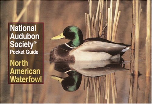National audubon society pocket guide: north american waterfowl (…