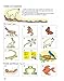 Draw Write Now Book 6: Animals and Habitats: On Land, Ponds and Rivers, Oceans