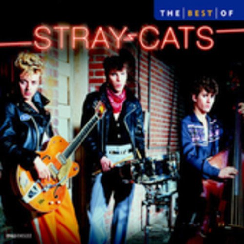 the stray cats
