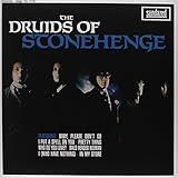 DRUIDS OF STONEHENGE (EP)                          image