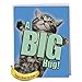 The Best Card Company - Big Get Well Pussycat Greeting Card 8.5 x 11 Inch with Envelope (1 Pack) Oversize Jumbo Cat A Big Hug J6614AGWG