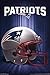 1 X New England Patriots - NFL Logo 2013 22